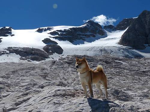 全国城际定向越野赛青少年组吸引众多参赛者，全国定向越野锦标赛