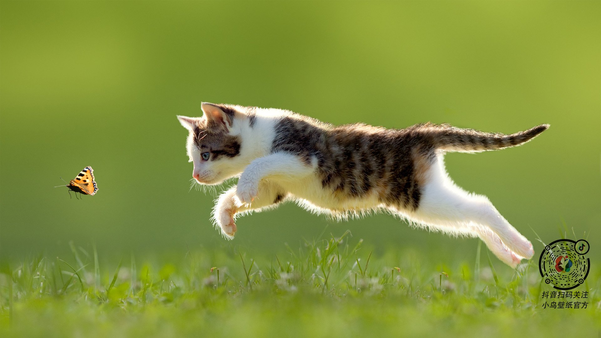 业内人士认可樊振东反手技术，状态稳步提升，樊振东反手是世界上最强的吗