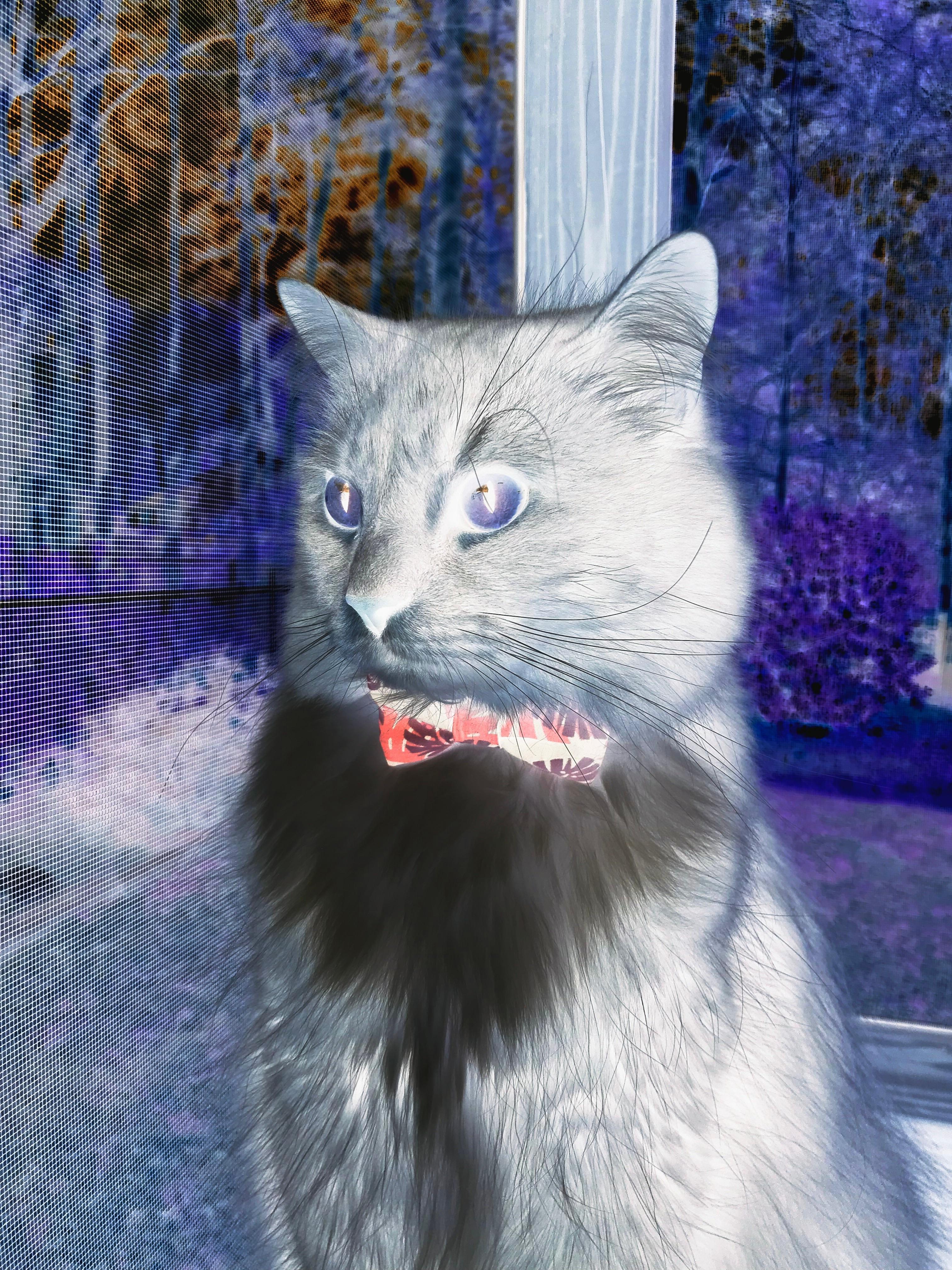 中国足球俱乐部完善青年球员成长体系，中国足球青年队水平