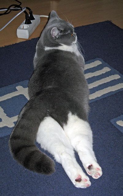 华体会官网入口-中国足球社区足球节活动参与率提升方案，社区足球赛活动方案