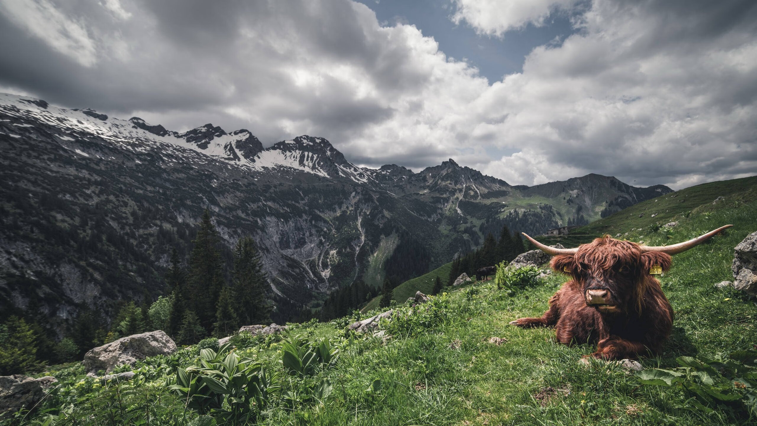 关注数字健身内容创作趋势的多媒体发布平台，关注数字健身内容创作趋势的多媒体发布平台有哪些
