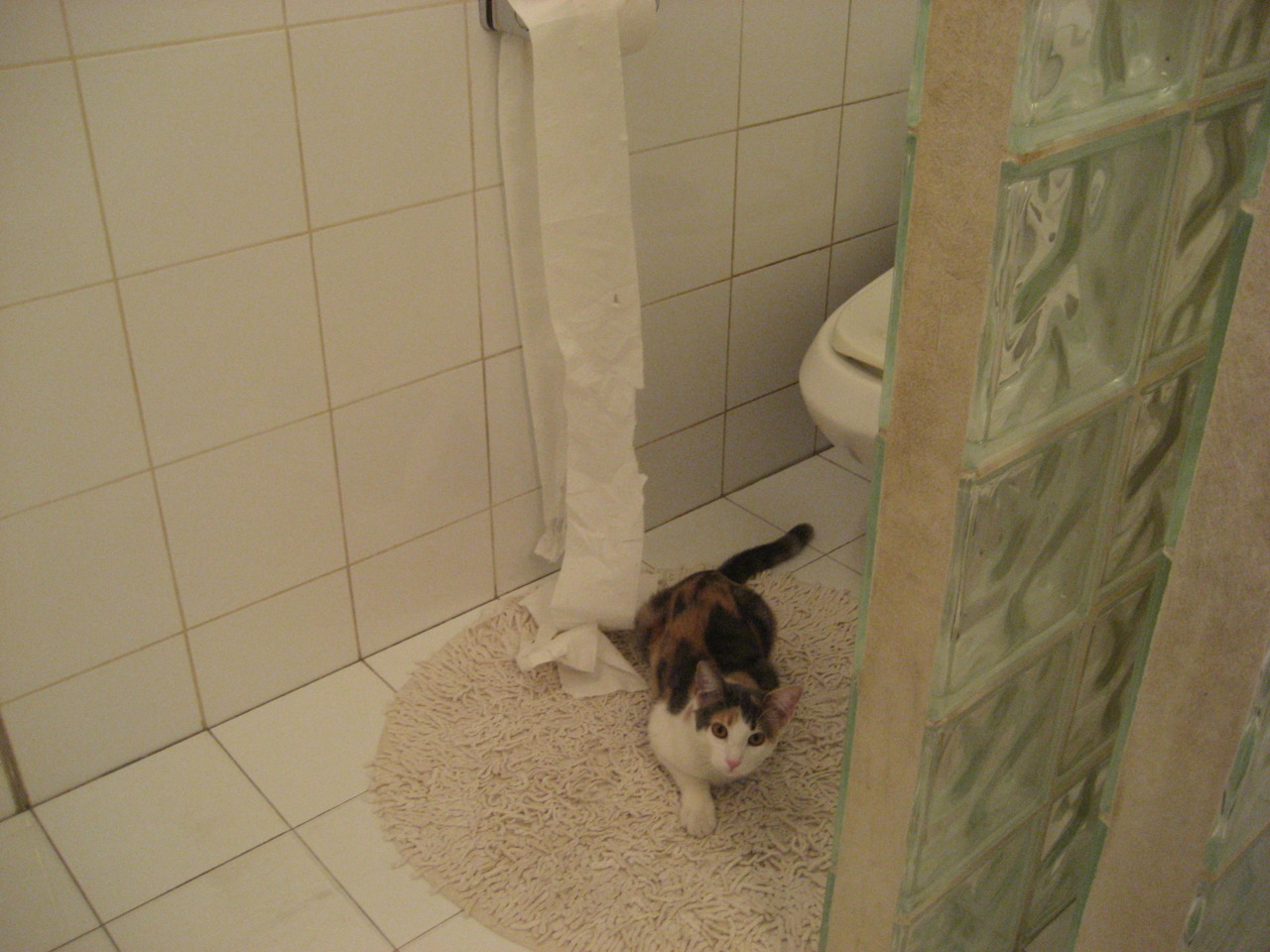 华体会-冠军背后：运动员“汗水”和“泪水”的故事！